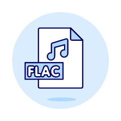 Format File Flac Illustration from UX Duotone Set