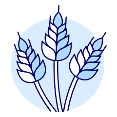 Wheat Illustration from UX Duotone Set