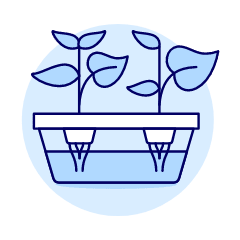 Hydroponic Box Illustration from UX Duotone Set
