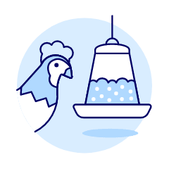 Chicken Eating Illustration from UX Duotone Set