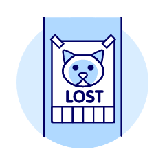 Missing Cat Illustration from UX Duotone Set
