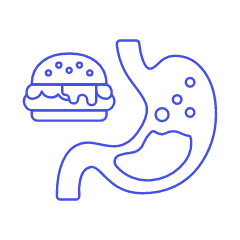 Stomach 3 Illustration from UX Line Set