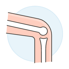 Bone Joint 1 Illustration from UX Colors Set