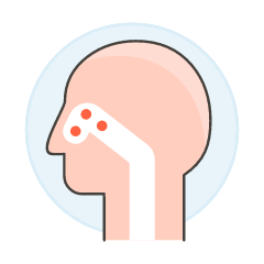 Sinuses 1 Illustration from UX Colors Set