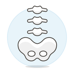 Spine Illustration from UX Colors Set