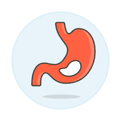 Stomach 1 Illustration from UX Colors Set