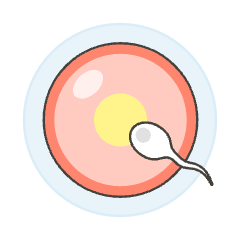 Pregnancy Sperms 2 Illustration from UX Colors Set