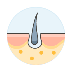 Skin Hair 1 Illustration from UX Colors Set