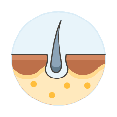 Skin Hair 2 Illustration from UX Colors Set