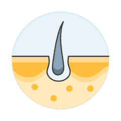 Skin Hair 3 Illustration from UX Colors Set