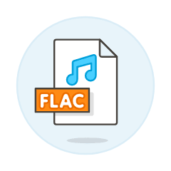 Format File Flac Illustration from UX Colors Set
