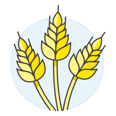 Wheat Illustration from UX Colors Set