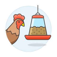 Chicken Eating Illustration from UX Colors Set