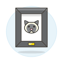 Cat Photo Illustration from UX Colors Set