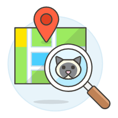 Finding Cat Illustration from UX Colors Set