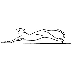 Cat 3 Element from Art Nouveau Vectors Set