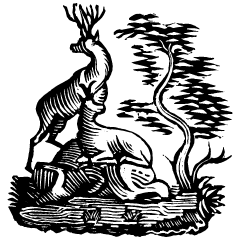 Deers Element from Art Deco Vectors Set