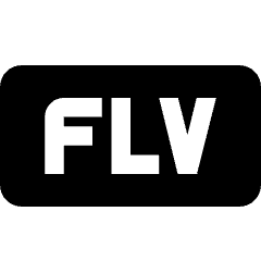 Video File Flv 1 Icon from Nova Solid Set