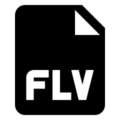 Video File Flv Icon from Nova Solid Set