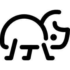 Insect 1 Icon from Ultimate Regular Set