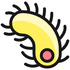 Insect Centipede 1 Icon from Ultimate Colors Set