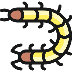 Insect Centipede Icon from Ultimate Colors Set