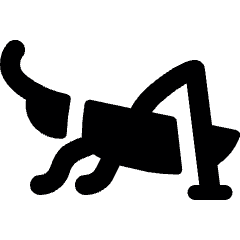 Insect Cricket Body Icon from Ultimate Bold Set