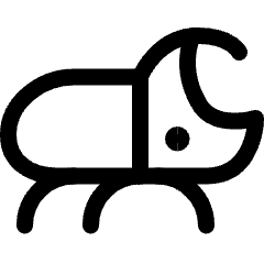 Insect Icon from Ultimate Regular Set