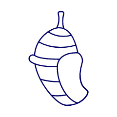 Pupa Illustration from UX Line Set