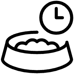 Smart Pet Feeder Timer Icon from Ultimate Light Set