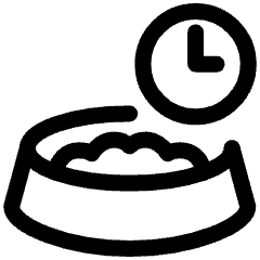 Smart Pet Feeder Timer Icon from Ultimate Regular Set