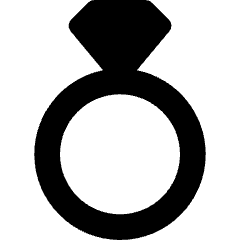 Ring Icon from Core Solid Set