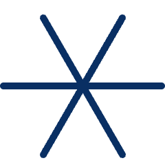 Asterisk 2 Icon from Cyber Duotone Set