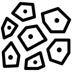 Human Cell Icon from Ultimate Light Set