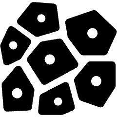 Human Cell Icon from Ultimate Bold Set