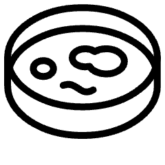 Petri Dish 4 Icon from Ultimate Light Set