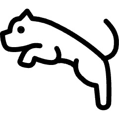 Puma Icon from Ultimate Light Set