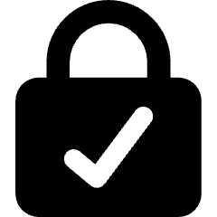 Lock Encryption Check Active Icon from Core Solid Set