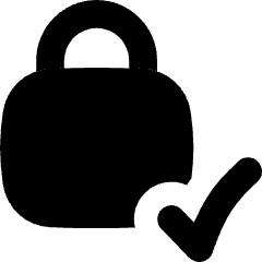 Lock Encryption Check Active Icon from Flex Solid Set