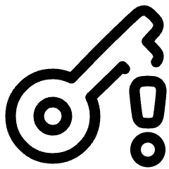 Key Access Vpn Alert Icon from Plump Line Set