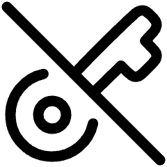 Key Access Vpn Off Disabled Icon from Plump Line Set