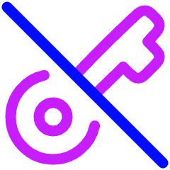 Key Access Vpn Off Disabled Icon from Plump Neon Set