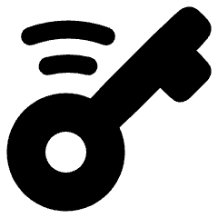 Smart Key Icon from Plump Solid Set