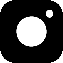 Instagram Logo Icon from Micro Solid Set