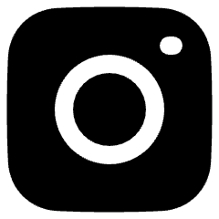 Instagram Logo Icon from Plump Solid Set