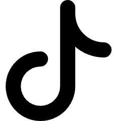 Tiktok Logo Icon from Micro Solid Set