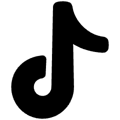 Tiktok Logo Icon from Plump Solid Set