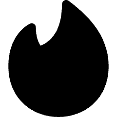 Tinder Logo Icon from Core Solid Set