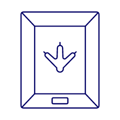 Bird Footpriny Illustration from UX Line Set