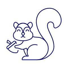 Squirrel Illustration from UX Line Set